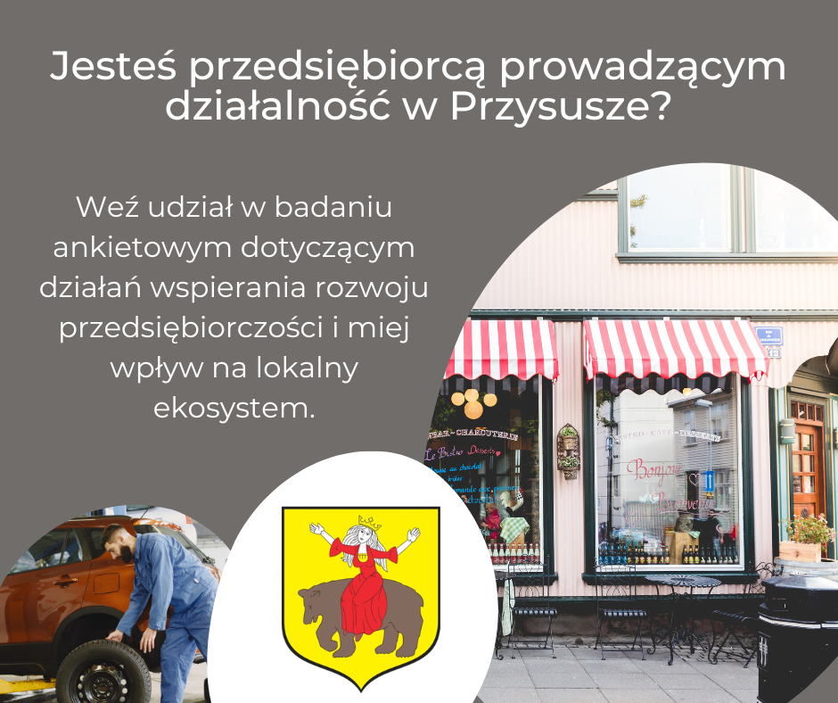 Ankieta dla przedsiębiorców 